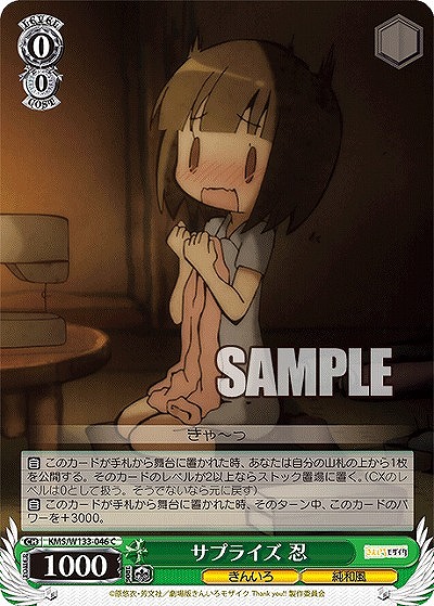 サプライズ 忍 【KMS/W133-046C】